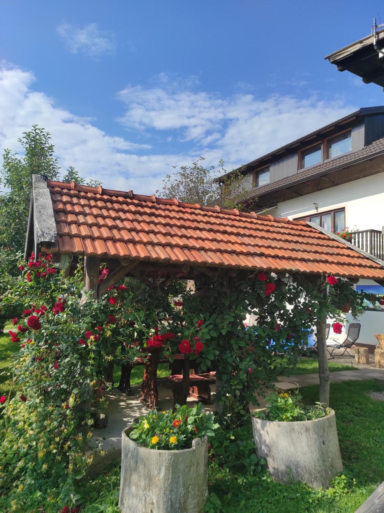 Apartman Leona Rakovica Buitenkant foto